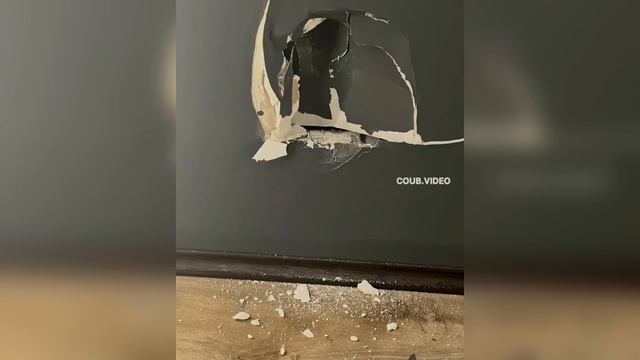 171. HFM COUB BEST CUBE Coub Приколы 2024 entertainment show, video collection from all over the wor