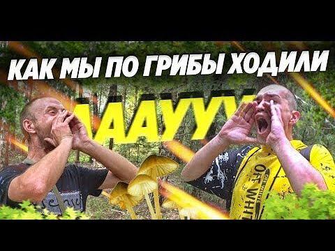 ПОХОД ЗА ГРИБАМИ В СУХОЙ ЛЕС С БРИГАДОЙ / ГОТОВИМ КАРТОШКУ НА КВАДРАТЕ / ВЕСЁЛЫЙ ВЫПУСК