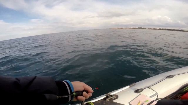 Как ЛОВИТЬ ЛУФАРЯ на ПИЛЬКЕРА В Чёрном море. В финале БОНУС-ПЕЛАМИДА!!! СЕВАСТОПОЛЬ 03 11 2020г 1