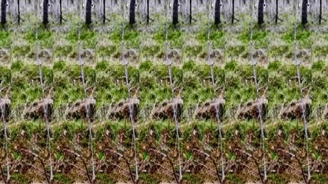 Движущаяся стерео картинка под музыку