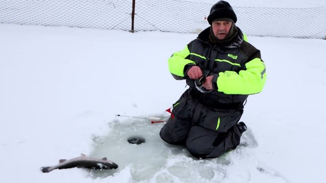 Р.Д. Юрлово. 29.12.2023