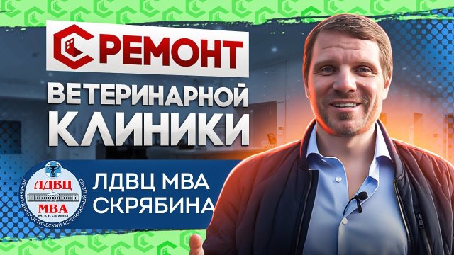 Ремонт ветеринарной клиники