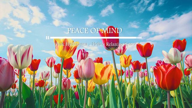 Good Time 🌷 인생을 사랑할 기분이 좋아지는 피아노곡| PEACE OF MIND