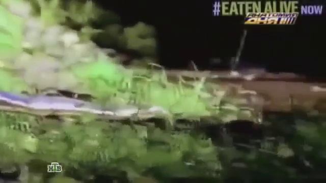 Змея съела человека Анаконда съела человека заживо