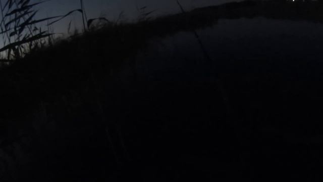 НОЧНАЯ ЛОВЛЯ КАРАСЯ