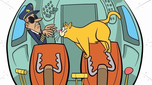 The Cat Came Back - Camp Songs - Kids Songs - Children's Songs by The Learning Station