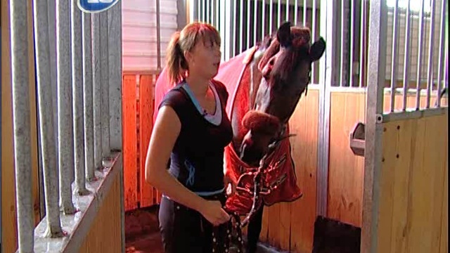 Белая лошадь 07 09 11