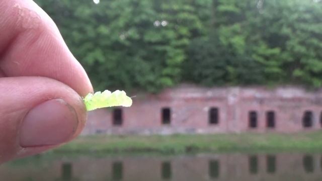 Мормодроч Первые шаги Ловля спиннингом на мормышку.