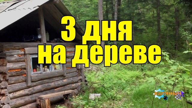 0842 - МЕДВЕДЬ ЗАГНАЛ МУЖИКА НА ДЕРЕВО _ ОХОТНИК 3 ДНЯ НА ДЕРЕВЕ _ ПОТЕРЯЛ СОЗНАНИЕ.mp4