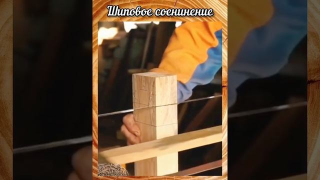 Stameskin.Ru.mp4