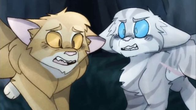 коты воители остролистая песня намордник