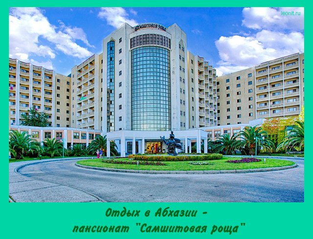 Самшитовая Роща Пицунда зима Boxwood grove Pitsunda winter