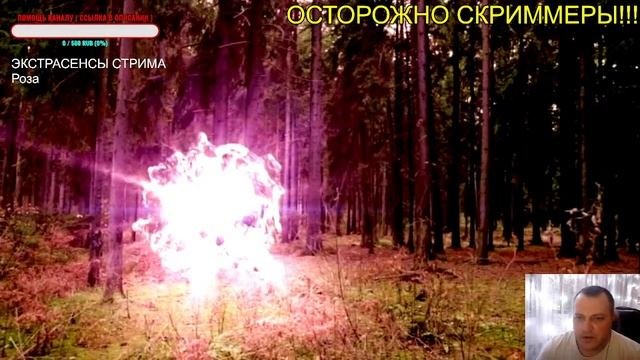 СТАТЬИ О ШАРОВОЙ МОЛНИИ