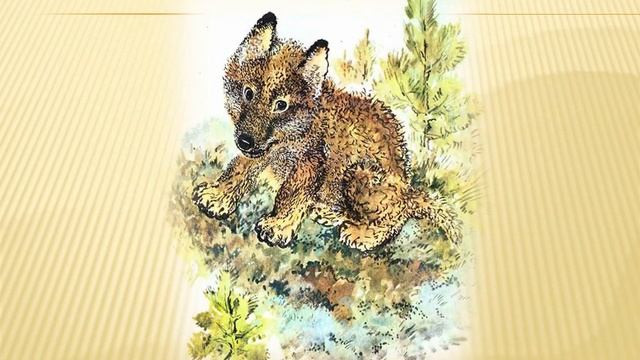 Чарующий мир Евгения Чарушина