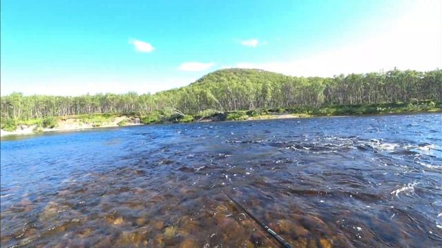 Река Титовка. Рыбалка на Кольском. Часть 2. Горбуша и поиски сёмги.