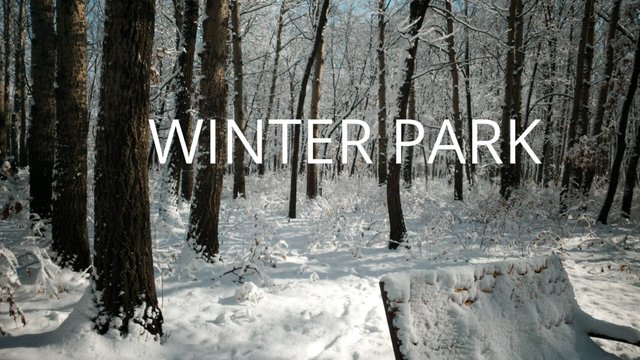 Winter Park UHD 4K 25 fps HDR10 | Special Edition