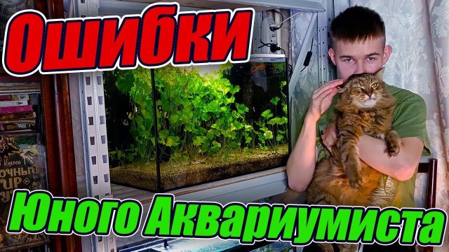 Ошибки Юного Аквариумиста и пути их решений!