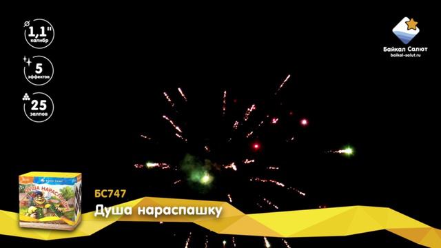 Душа нараспашку (1,1х25) (БС747)