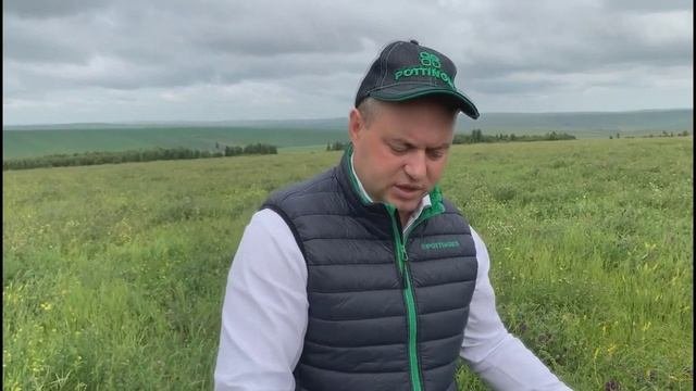 Поле с люцерной, ботаническая экспедиция