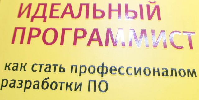 Идеальный программист
