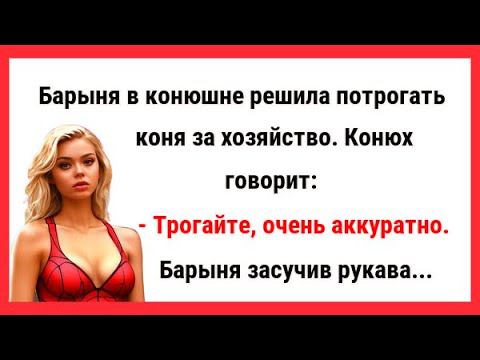 Барыня в конюшне щупает коня за хозяйство. Новые Анекдоты! Свежие Анекдоты! Юмор! Смешные анекдоты!
