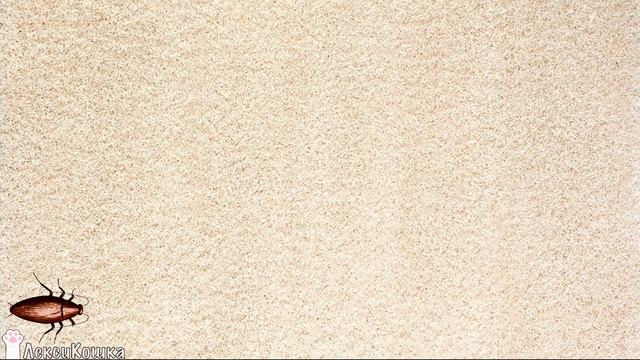 Шуршащий таракан. Видео игра для кошек