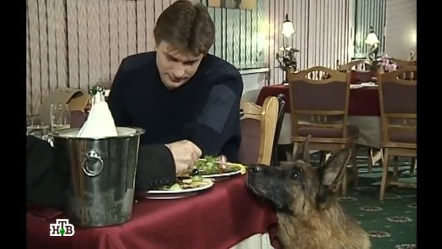 Возвращение Мухтара 2. Ужин со Слоном