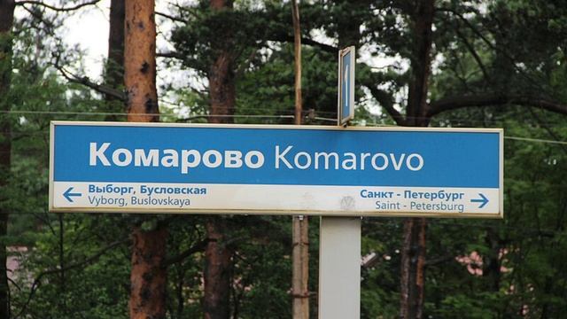 песня комарова??