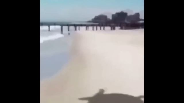 Top 15 Fly