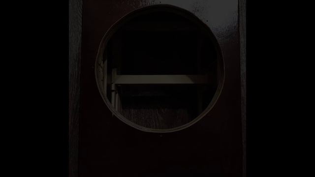 Как сделать сабвуфер. Сабвуфер своими руками. Opus SD-250 BX.