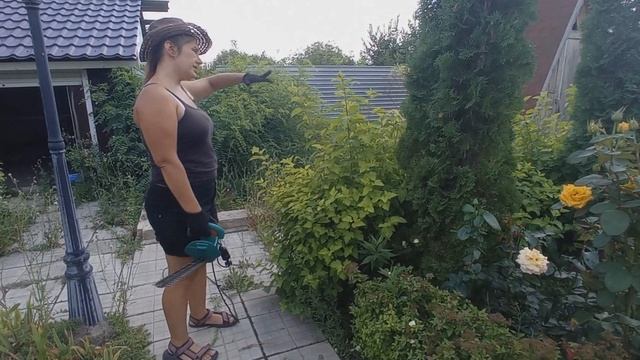Как стричь кустарники шариком, изгороди, электрическим кусторезом