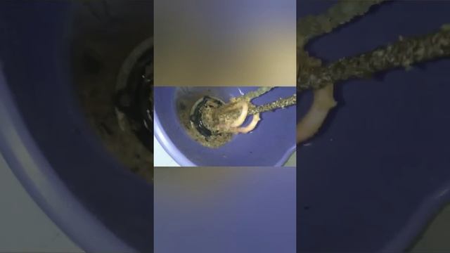 Подтекает бойлер термэкс, течёт из-под крышки водонагревателя