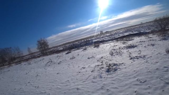Охота на зайца. От таких гончаков лес гудел, зайцы к ногам прибегали. Сезон 2022-2023. №135