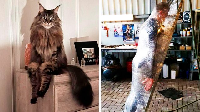 Сложно быть не таким, как все
