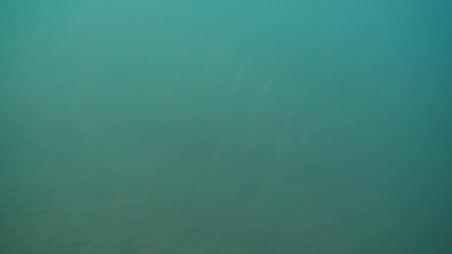 обзор воблера СТРАЙК ПРО джампер 90СП 70сп strike pro jumper 90sp братья щербаковы воблер на щуку