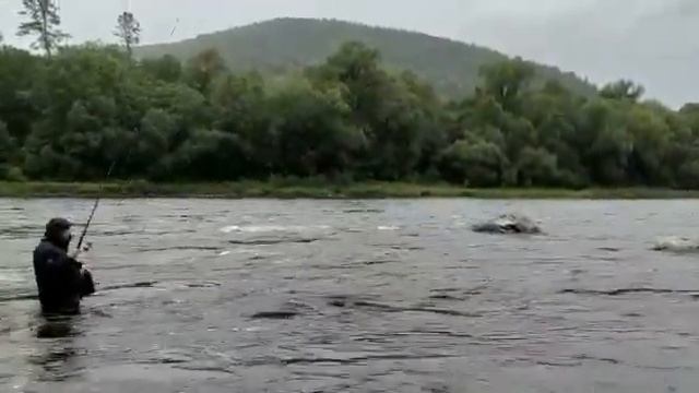 Рыбалка на горной реке Анюй