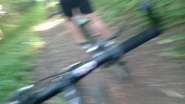 Покатушки на велосипедах