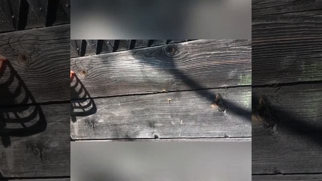 Как быстро закрутить крючки в дерево