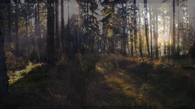 Music for dreams Relax Music Channel