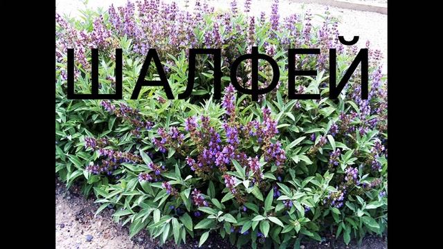 Чистка помещений. Эффективно и просто