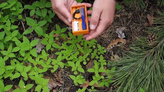 VICTORINOX HIKER спустя 5 мес. использования│Гарантия вечности?