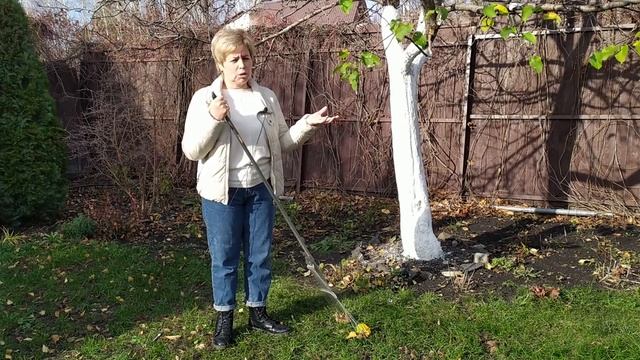 Основные работы в саду в ноябре Прощаемся с дачей до весны! / Садовый гид