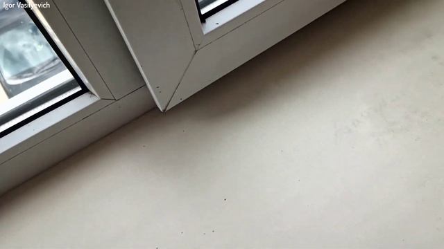 Простая регулировка створки пластикового окна! Окно плохо закрывается летний и зимний режим Окна ПВ