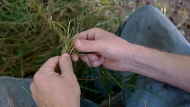 Как сделать крепкую веревку из травы. Уроки выживания. Видеоурок