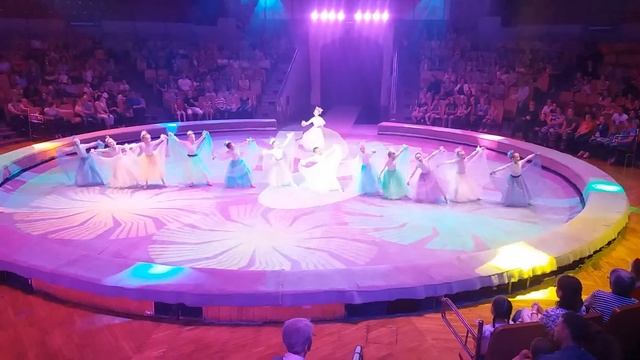 1 июня 2019 Ижевский цирк. Светлячки.