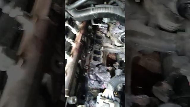 Адская замена свечи накала transit 2.2