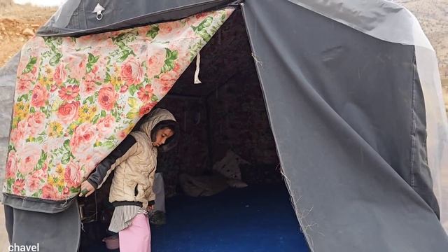 Family Resilience: Fighting the Cold, Overcoming Life's Challenges.