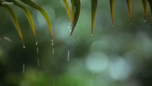 You & Me:  Relaxing Piano Music & Soft Rain Sounds For Sleep & Relaxation