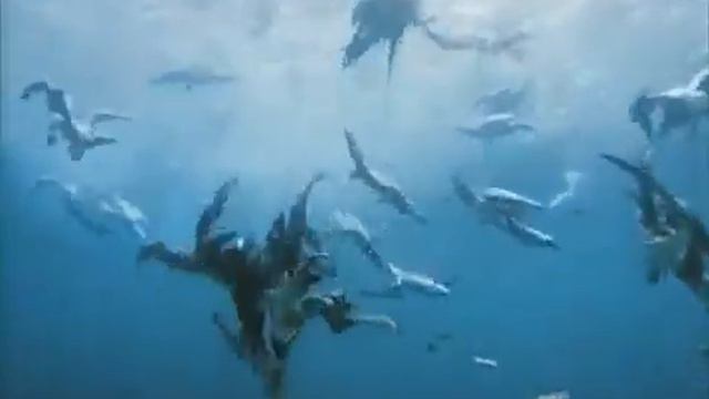 Жак-Ив Кусто - Приключение на шельфе (1966) Подводная одиссея команды Кусто