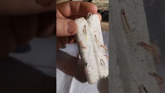 рабочий настрой на омуля рыбалка на байкале